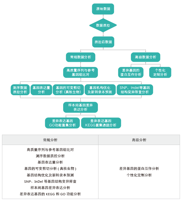 转录组测序-生信分析流程（有参）-k8凯发基因