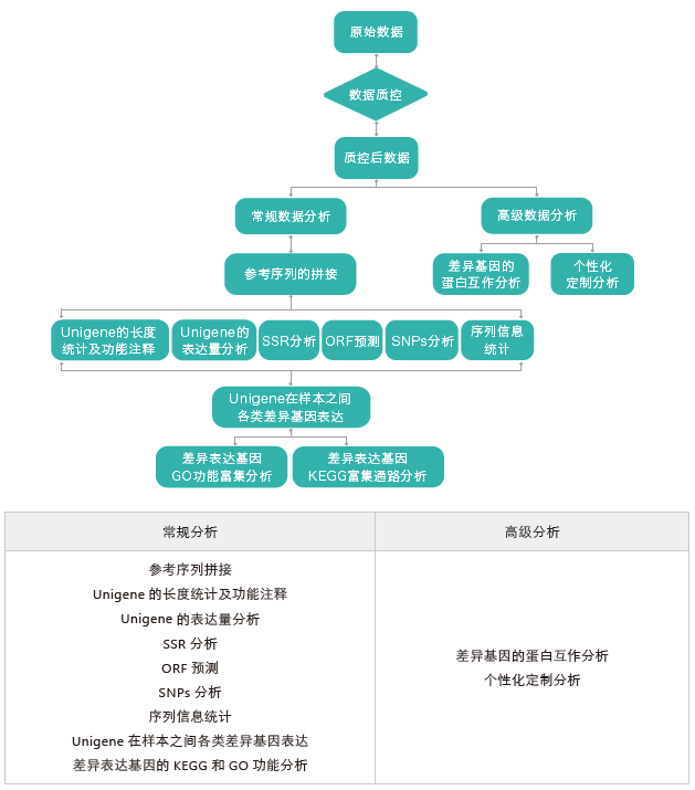 转录组测序-生信分析流程（无参）-k8凯发基因