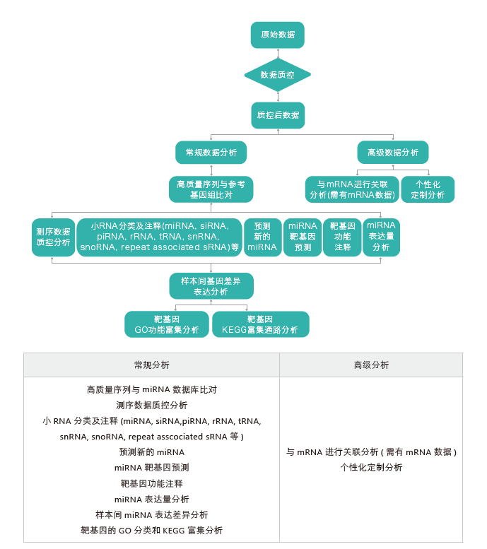 小RNA（small RNA）测序-生信分析流程-k8凯发基因