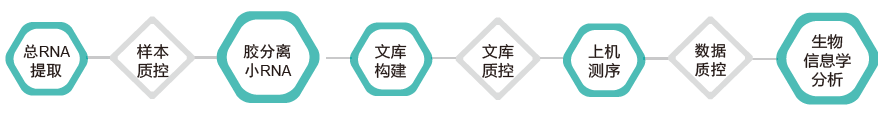 小RNA（small RNA）测序-技术路线-k8凯发基因