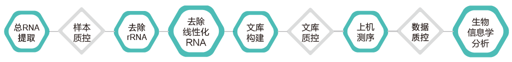 环状RNA（circRNA）测序-技术路线-k8凯发基因