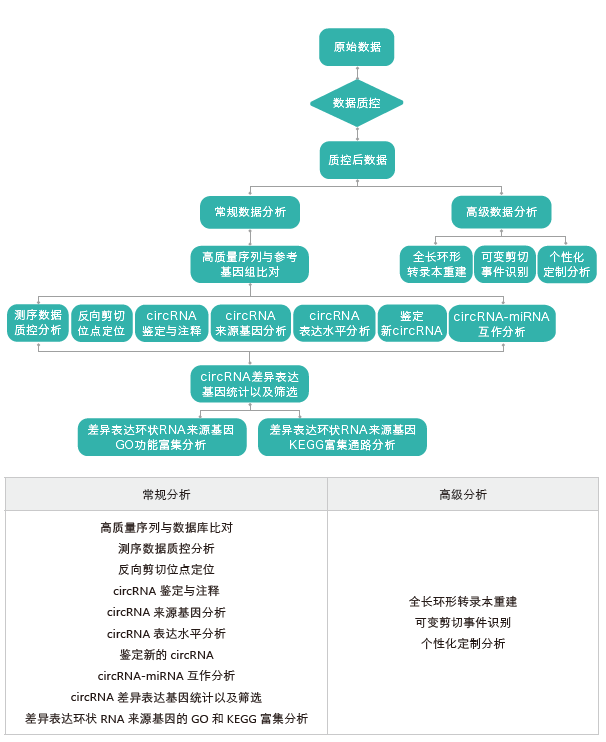 环状RNA（circRNA）测序-生信分析流程-k8凯发基因