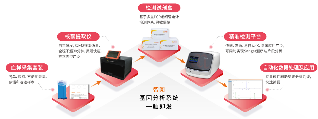 智阅基因分析系统-k8凯发基因